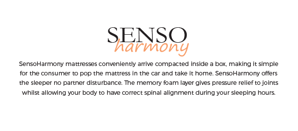 SensoHarmony-about-1.png